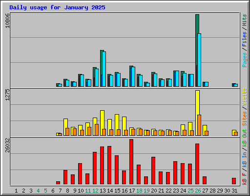 Daily usage for January 2025