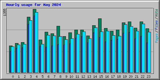 Hourly usage for May 2024