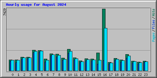 Hourly usage for August 2024