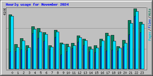 Hourly usage for November 2024