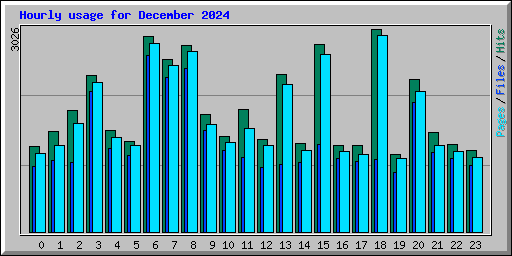 Hourly usage for December 2024