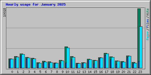 Hourly usage for January 2025