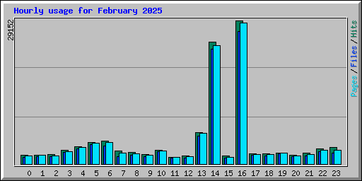 Hourly usage for February 2025