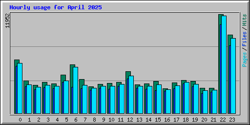 Hourly usage for April 2025