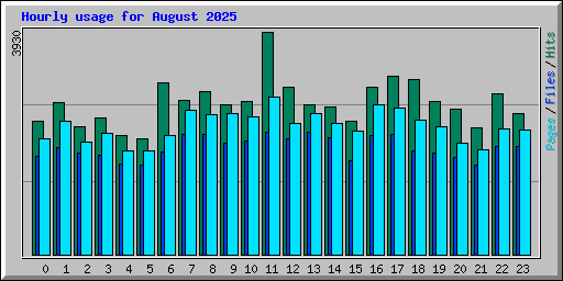 Hourly usage for August 2025