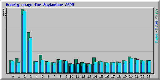 Hourly usage for September 2025