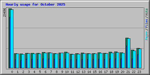 Hourly usage for October 2025