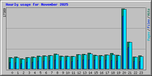 Hourly usage for November 2025